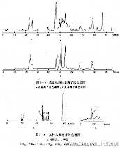 高效液相色谱-质谱-质谱法分析人参皂苷