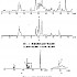 高效液相色谱-质谱-质谱法分析人参皂苷