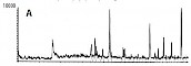 毛细液相色谱/ESI-MS 在蛋白质消解物检测中浓度的影响-Column A