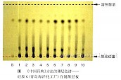 诃子-鉴别2-不同薄层板薄层色谱图的比较（8）