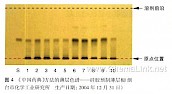 诃子-鉴别2-不同薄层板薄层色谱图的比较（6）