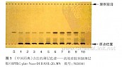 诃子-鉴别2-不同薄层板薄层色谱图的比较（5）