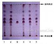 辛夷-不同薄层板薄层色谱图的比较（6）