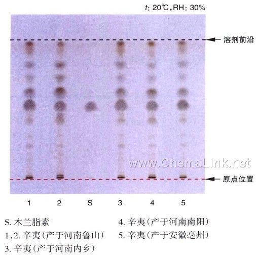辛夷-不同薄层板薄层色谱图的比较(1)
