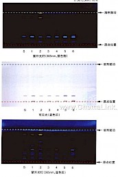 何首乌-不同薄层板薄层色谱图的比较（1）