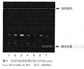 灵芝-不同薄层板薄层色谱图的比较（3）