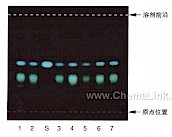 吴茱萸-不同薄层板薄层色谱图的比较（4）