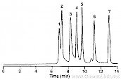 蛋白质：用体积排阻色谱分离