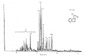 二甲基烷基萘类（cnH2n-12）质量色谱图