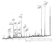 部分C11—C14芳烃化合物的质量色谱图