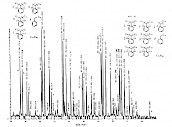 苯基葵烷～十五烷的质量色谱图