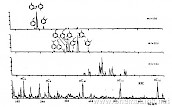 C2～C4取代苯的质量色谱图