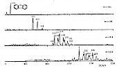 二苯并噻吩系列质量色谱图