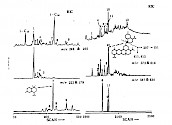 部分杜松烷类和七或八环的三杜松烷(Tricadinanc)类的总离子流和质量色谱图
