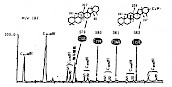 六环藿类烷烃质量色谱图