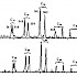 甲基藿-17(21)-烯类的质量色谱图