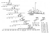 重排藿烷类的质量色谱图