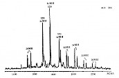 甲基藿烷类的质量色谱图