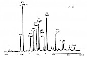ββ藿烷质量色谱图