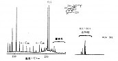 达玛-13(17)-烯的色谱图和达玛烷的m/e301质量色谱图