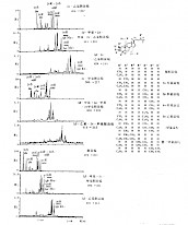 C29-C31，，3β-乙基甾烷类和C27～C29甾烷、C2-C3，甲基甾烷相对分布的质量色谱图