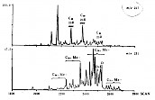 甲基甾烷的质量色谱图