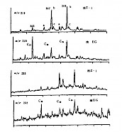 A环1～10位或4～5位c-c键断的甾烷和4一甲基甾烷系列质量色谱图
