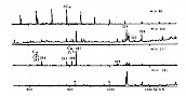 某些C18,C20未知三环烷和C23，C24四环烷的质量色谱图