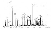 C19—C36三环萜烷的质量色谱图
