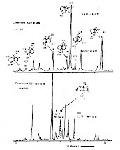 补身烷、桉叶油烷标样与样品共注的质量色谱图