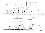 C30—C33葡萄藻烷类在不同极性色谱柱上的保留位置图