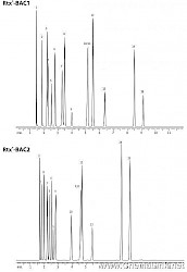 溶剂残留分析 Rtx-BAC1 Rtx-BAC2