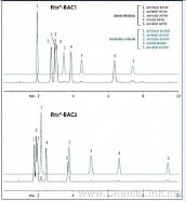 烷基亚硝酸盐分析