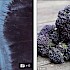 左图是西兰花显微图像；右图是摆放的西兰花。