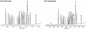 分析有机氯农药混合物AB #2 Rtx®-CLPesticides 和 Rtx®-CLPesticides2 (内径0.53 mm 的色谱柱 )