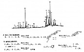 某样品极性馏分经MeLi/MeI处理后的二或多硫键合化合物的色谱图