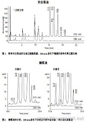 脂肪和油脂-向日葵和橄榄油中的甘油三酸酯及其过氧化物