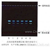 沙棘-不同薄层板薄层色谱图的比较（5）