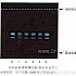 沙棘-不同薄层板薄层色谱图的比较（5）