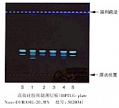 沙棘-不同薄层板薄层色谱图的比较（3）