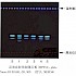 沙棘-不同薄层板薄层色谱图的比较（3）