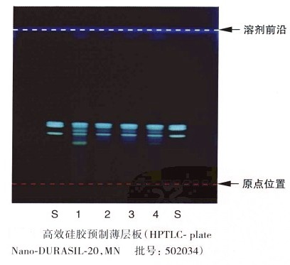 薄层层析实验图谱图片