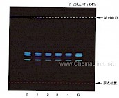沙棘-不同薄层板薄层色谱图的比较（1）