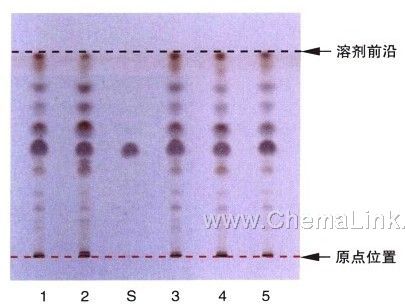 薄层层析实验图谱图片