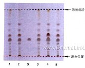 辛夷-不同薄层板薄层色谱图的比较（2）