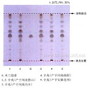 辛夷-不同薄层板薄层色谱图的比较（1）