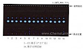 佛手-不同薄层板薄层色谱图的比较（1）