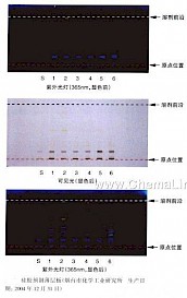 何首乌-不同薄层板薄层色谱图的比较（4）