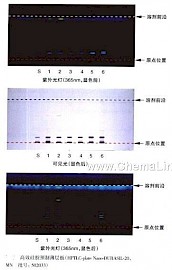 何首乌-不同薄层板薄层色谱图的比较（3）