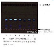灵芝-不同薄层板薄层色谱图的比较（6）